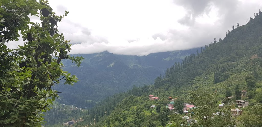 Himachal; The Paradise You Shouldn’t Miss!